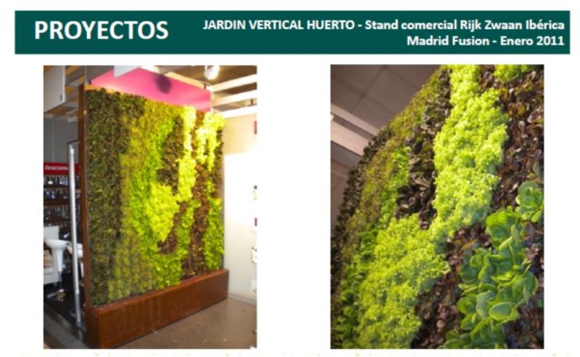 10 jardines verticales